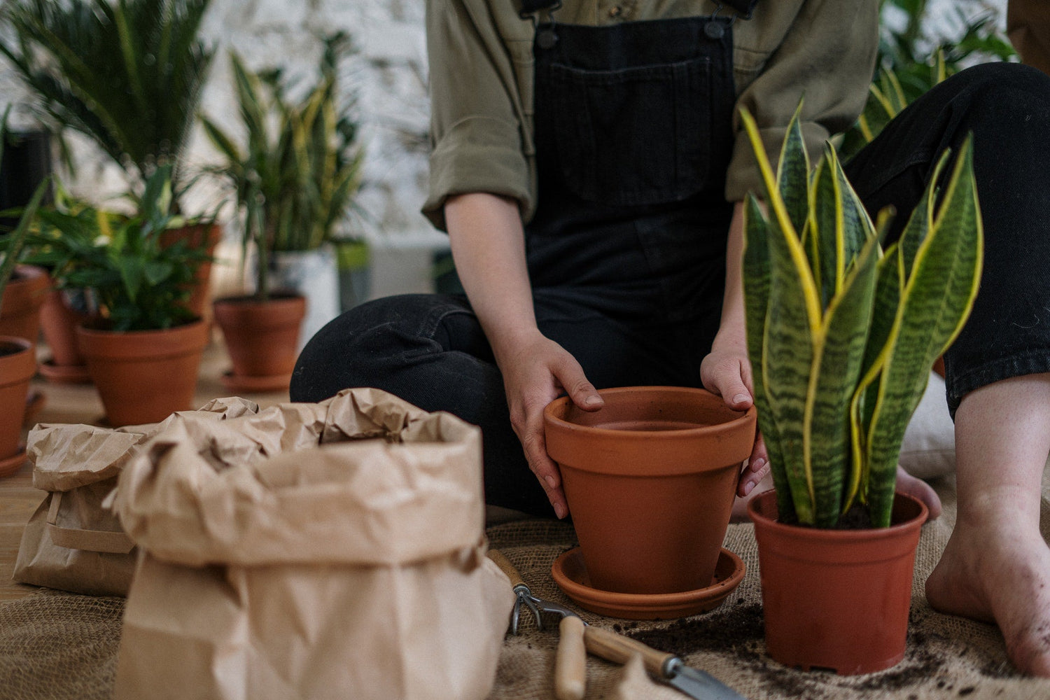 Gardening Supplies