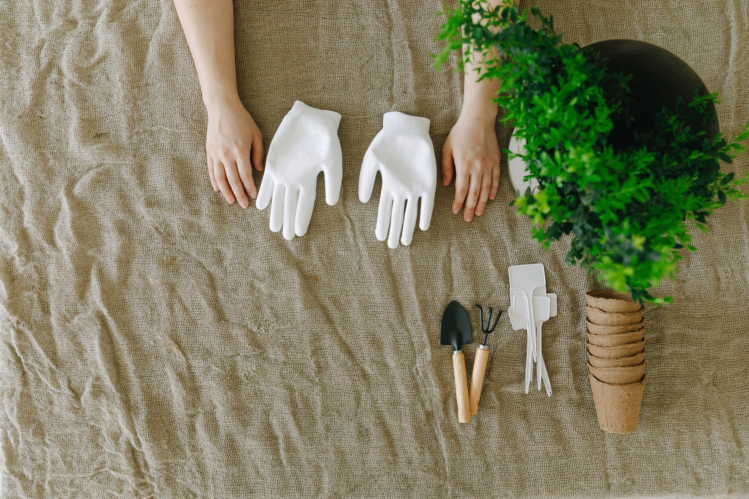 Gardening
