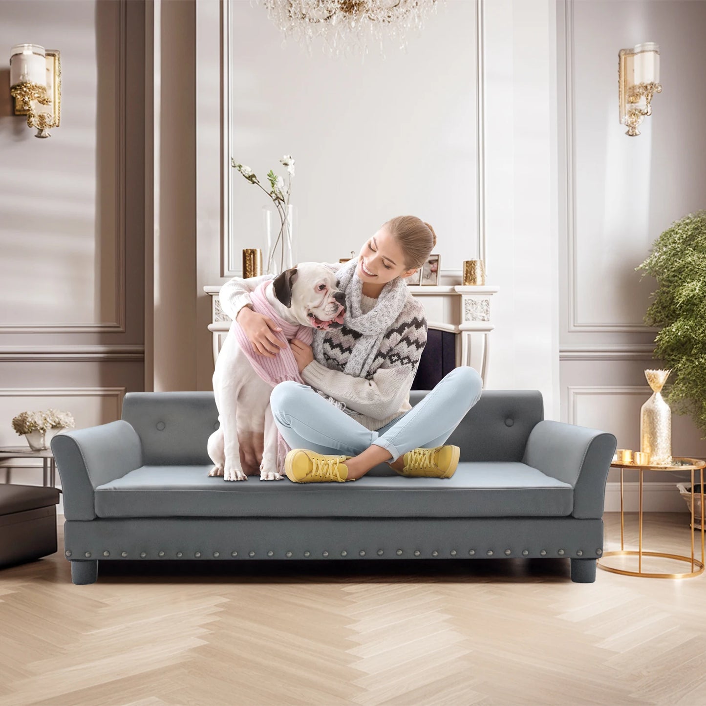 BINGOPAW Elevated Rectangle Dog Bed Durable Modern Sofa
