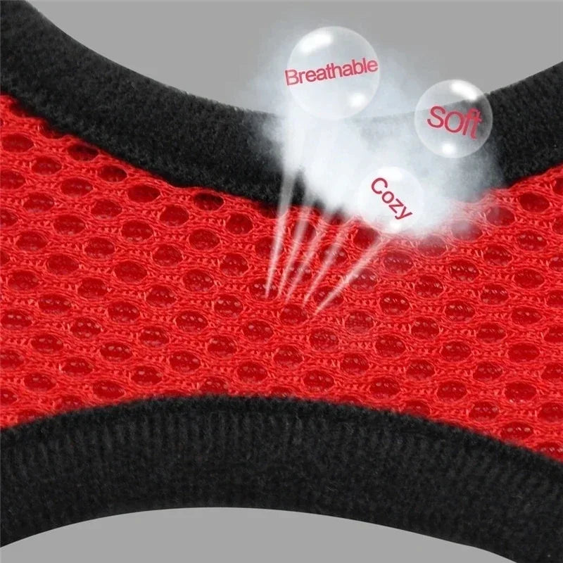 Cat Adjustable Mesh Harness Vest With Leash For Small Pets
