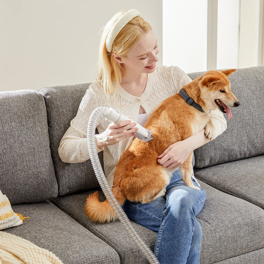 Pet Grooming Vacuum Kit With Cordless Low Noise Clippers