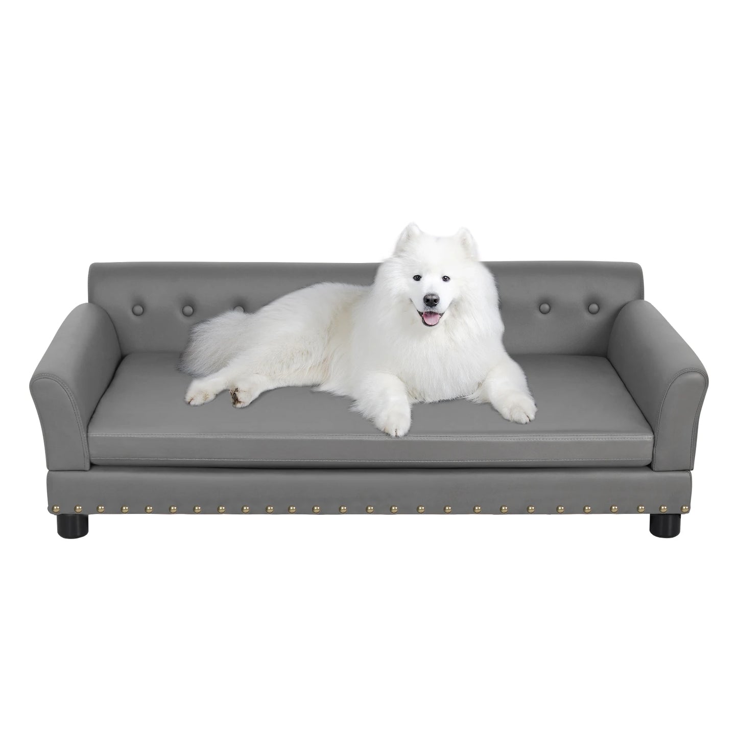 BINGOPAW Elevated Rectangle Dog Bed Durable Modern Sofa
