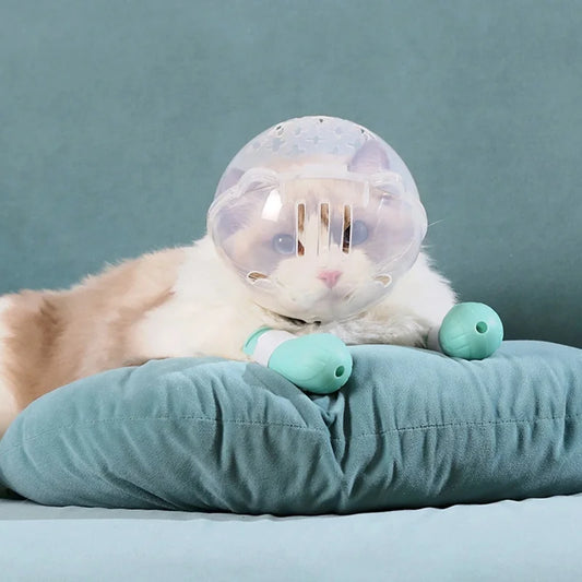 Cat Muzzle Hood Breathable Helmet With Anti Bite Licking Shoes