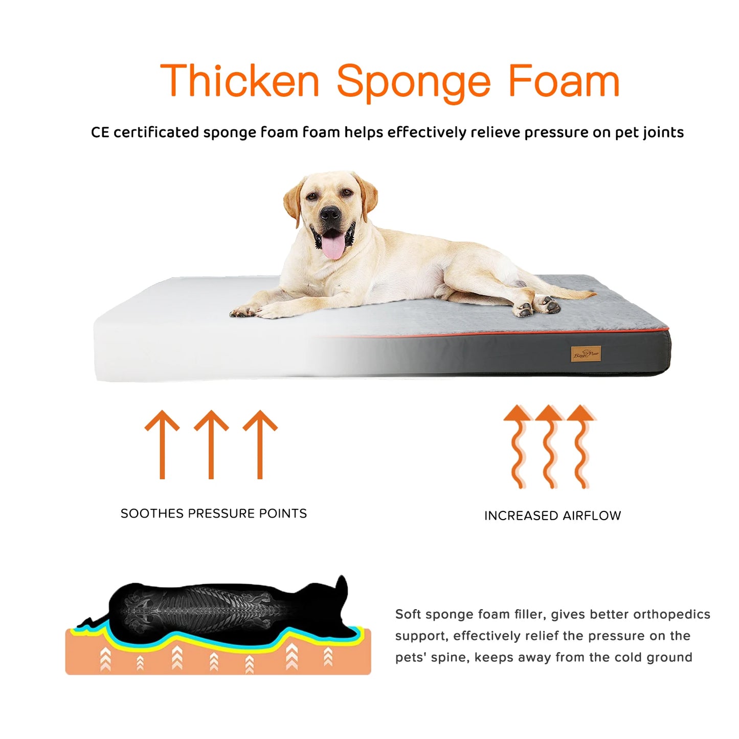 BINGOPAW Orthopedic Dog Bed With Washable Cover For Pets