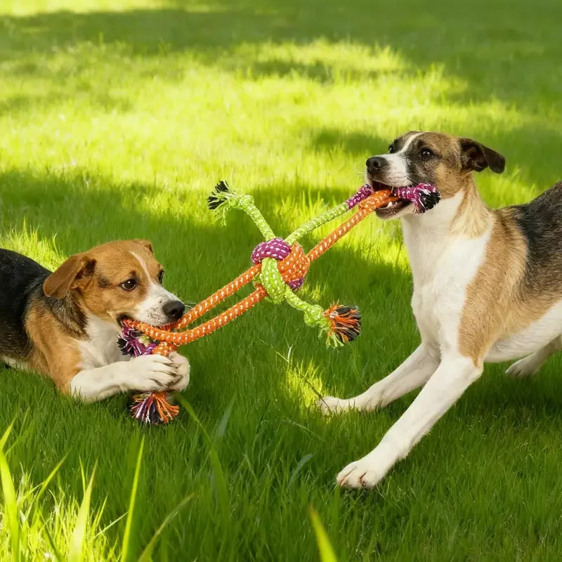 Durable Dog Rope Toy for Teeth Cleaning and Interactive Chewing