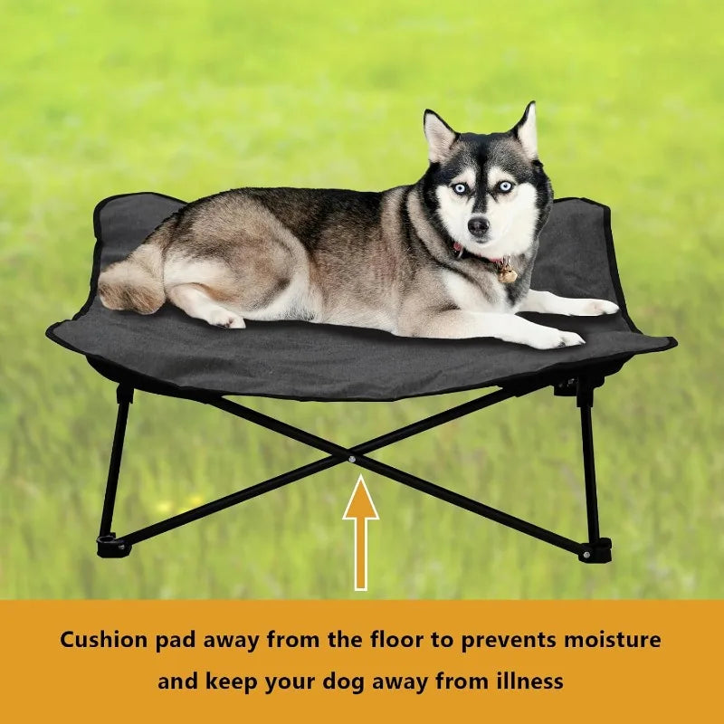 Raised Dog Bed Portable Pet Cot Travel Camping Gear
