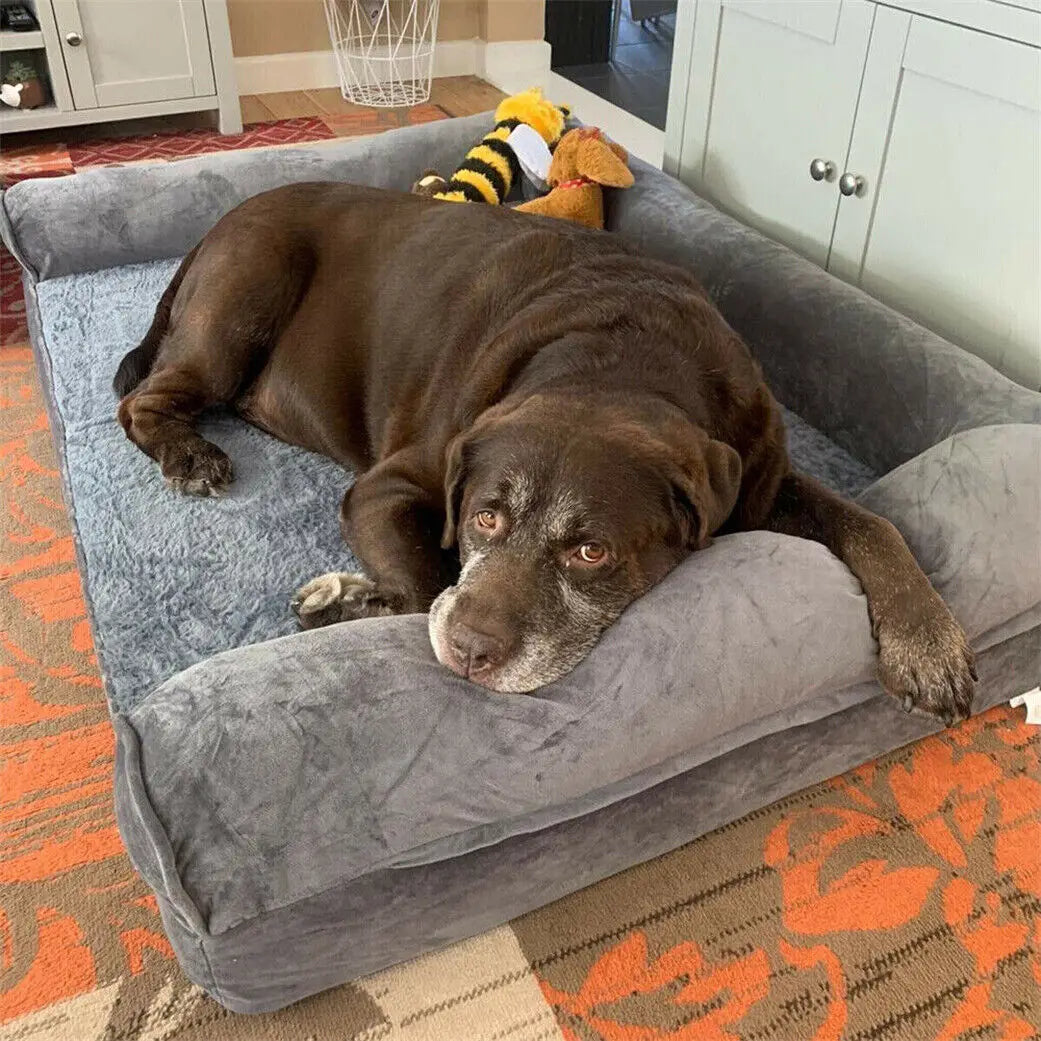 BINGOPAW Orthopedic Dog Bed With Removable Cover Cushion