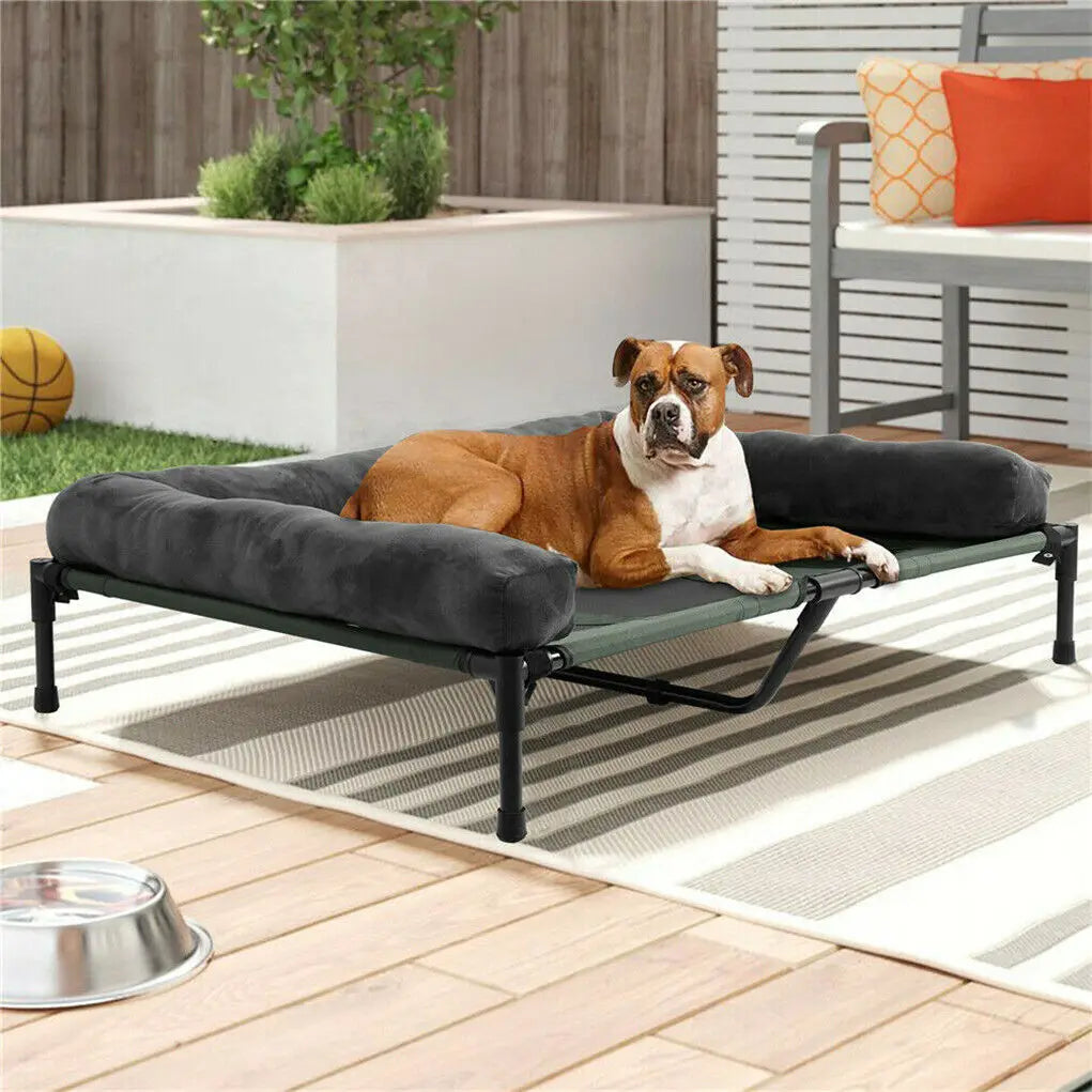 BINGOPAW Elevated Pet Bed for Dogs and Cats Indoor Outdoor