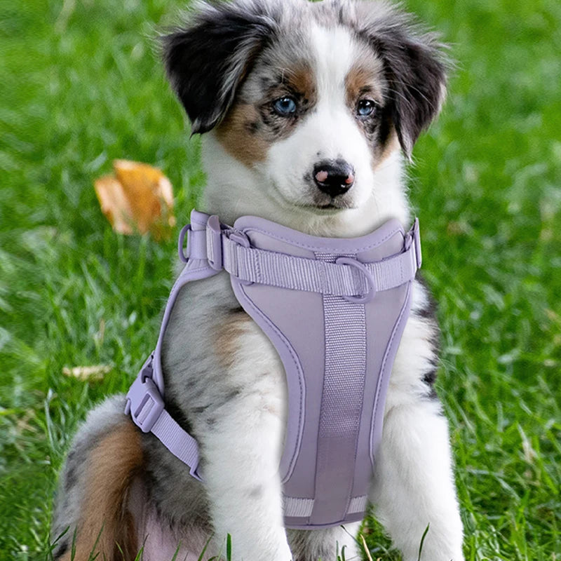 Double Dog Harness And Leash Set PVC Comfort Breathable Adjustable Chest Strap