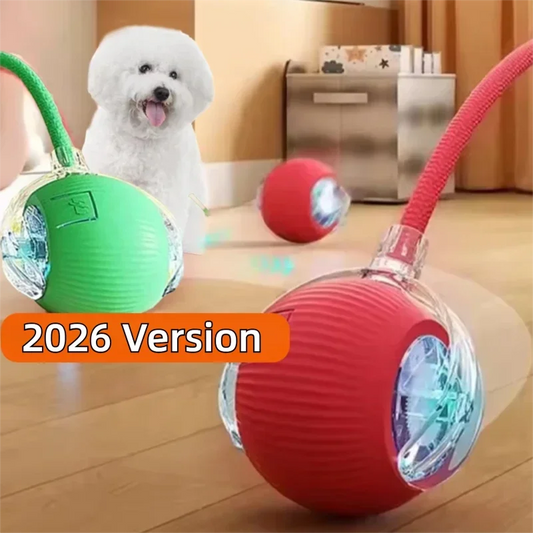 Interactive Dog Ball Toy Automatic Rolling Rechargeable