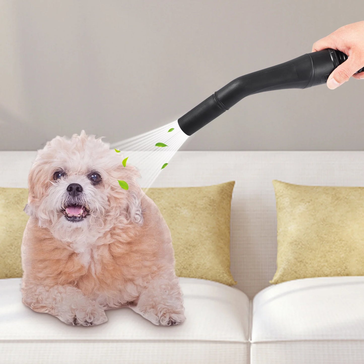 SucceBuy Wet Dry Vacuum 3 In 1 Portable Blowing Vacuum
