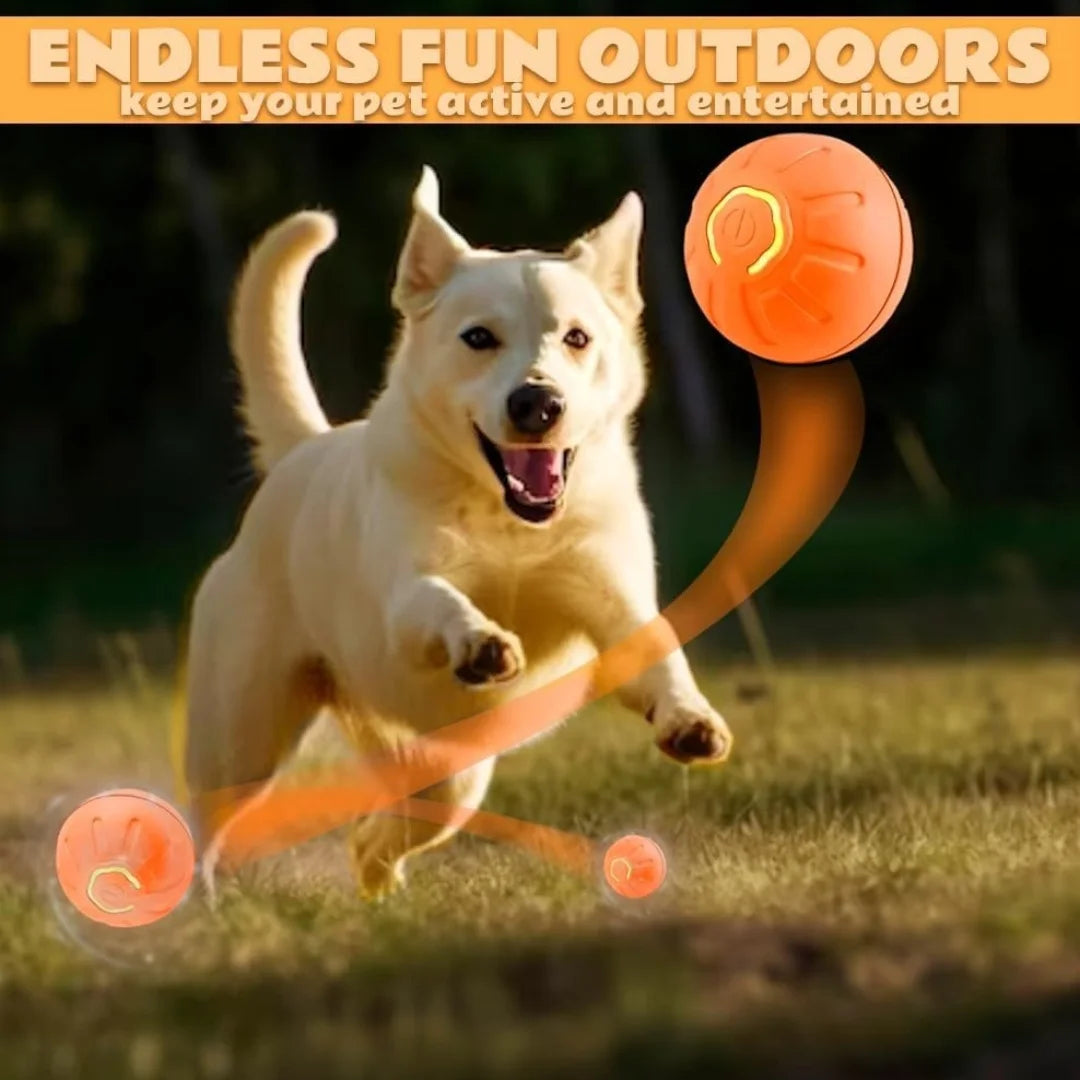 Pet Gravity Ball Toy for Dogs and Cats Plastic Bouncing Ball