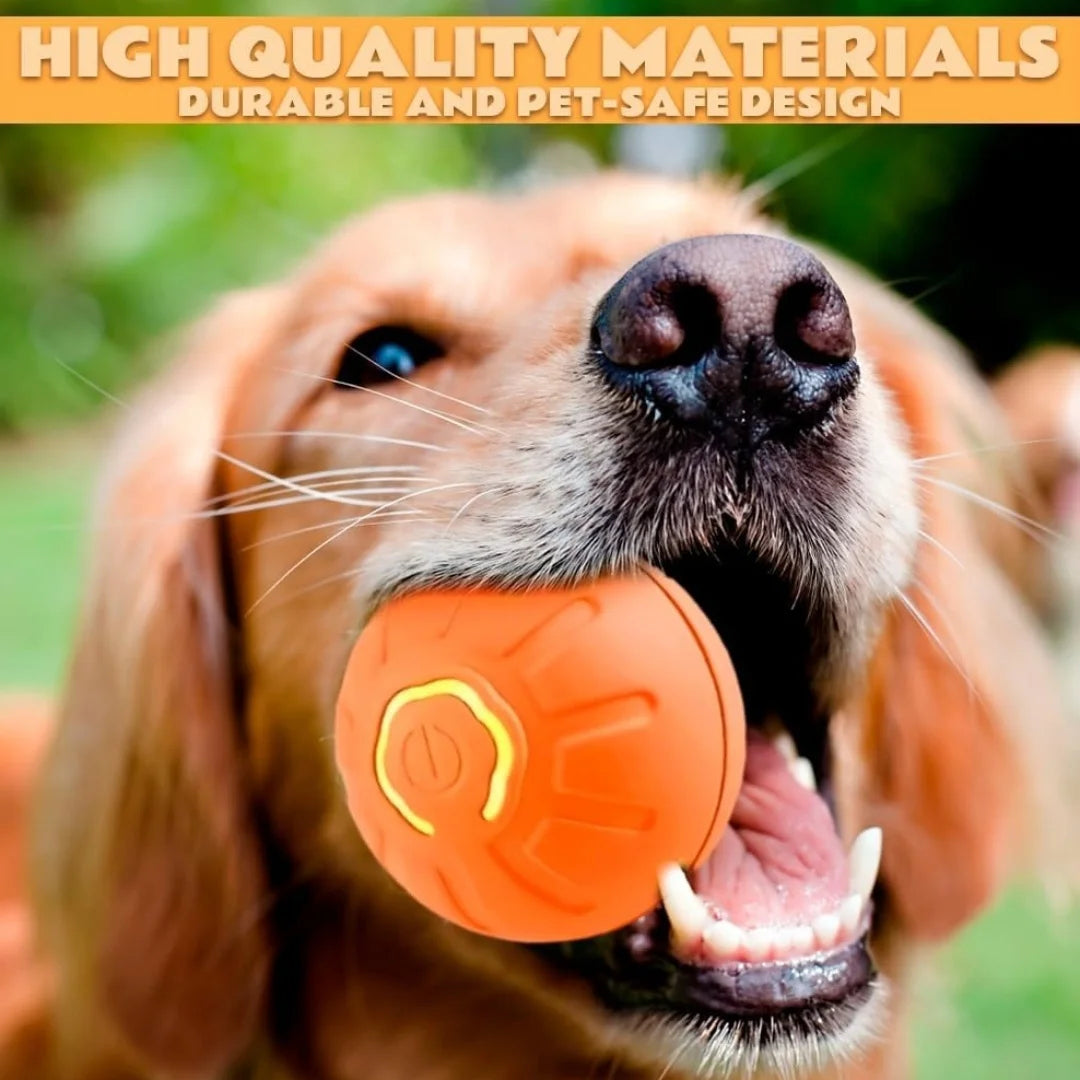 Pet Gravity Ball Toy for Dogs and Cats Plastic Bouncing Ball