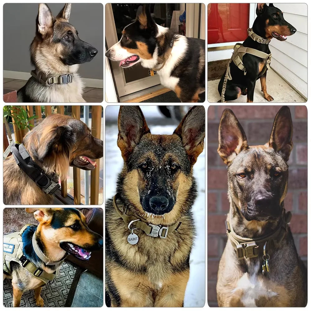 Dog Harness And Collar Set Adjustable Tactical Vest And Collar