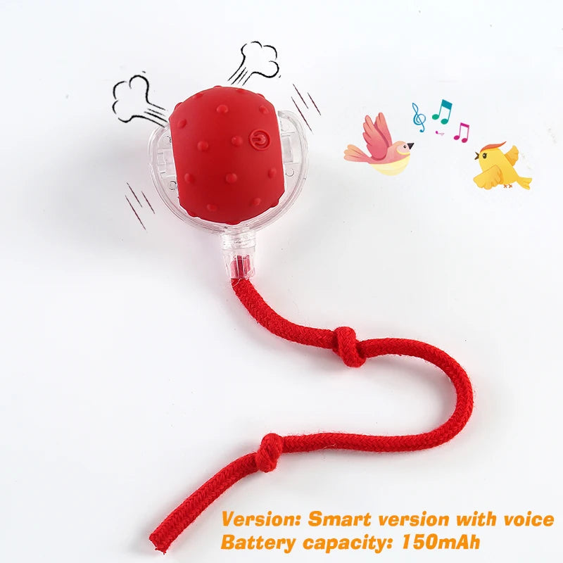 Interactive Dog Ball Toy Automatic Rolling Rechargeable
