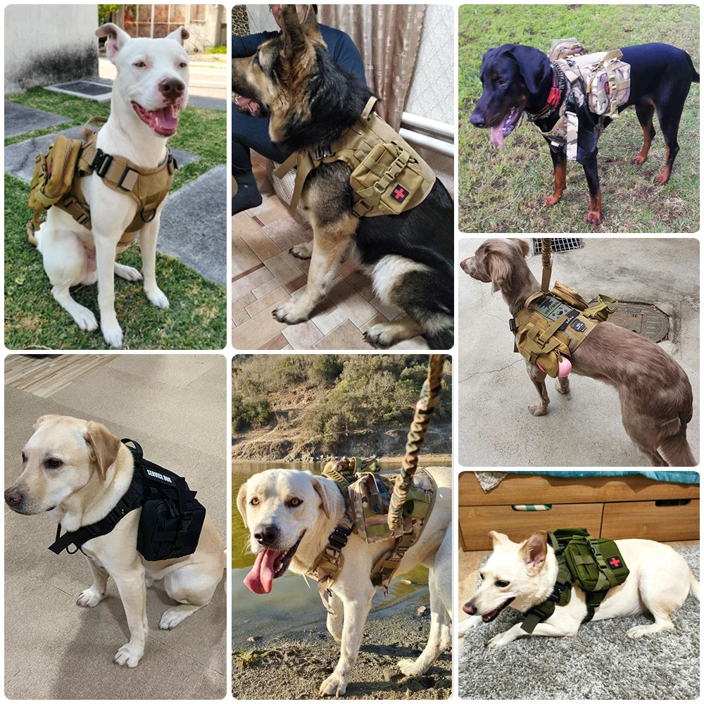 Military Tactical Dog Harness Leash Set For Malinois