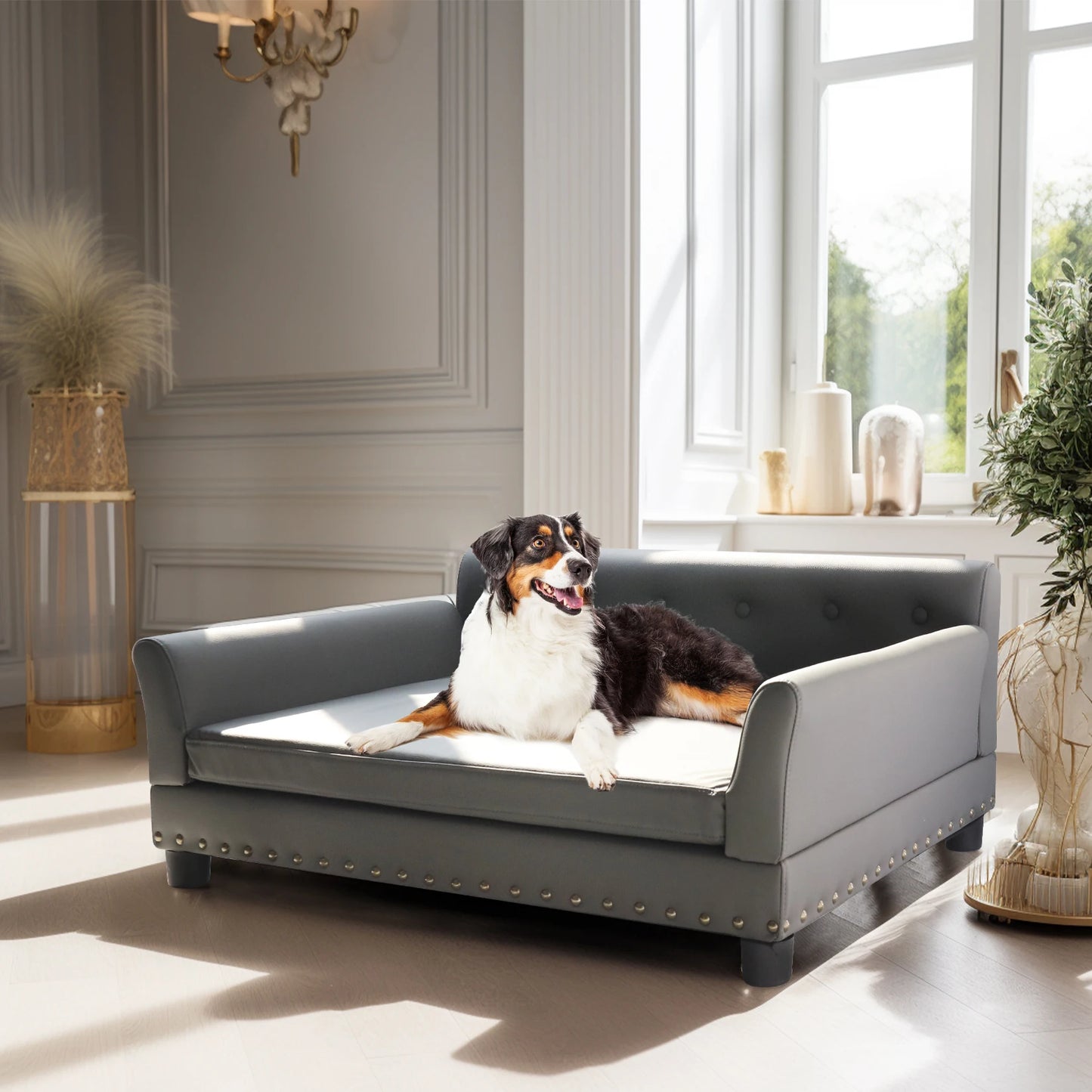 BINGOPAW Elevated Rectangle Dog Bed Durable Modern Sofa