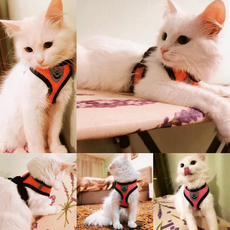 Cat Adjustable Mesh Harness Vest With Leash For Small Pets