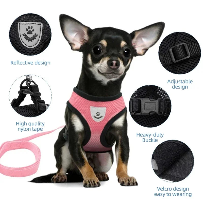 Cat Adjustable Mesh Harness Vest With Leash For Small Pets