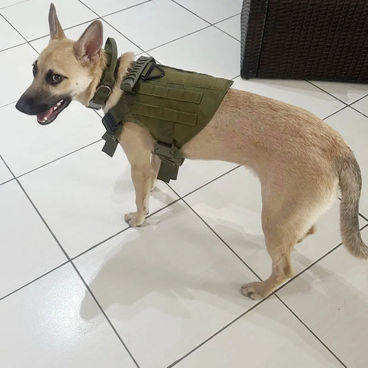 Dog Harness And Collar Set Adjustable Tactical Vest And Collar