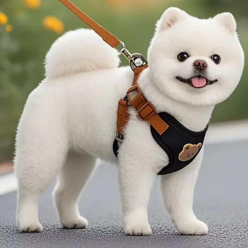 Breathable Dog Harness And Leash Set For Dogs And Cats