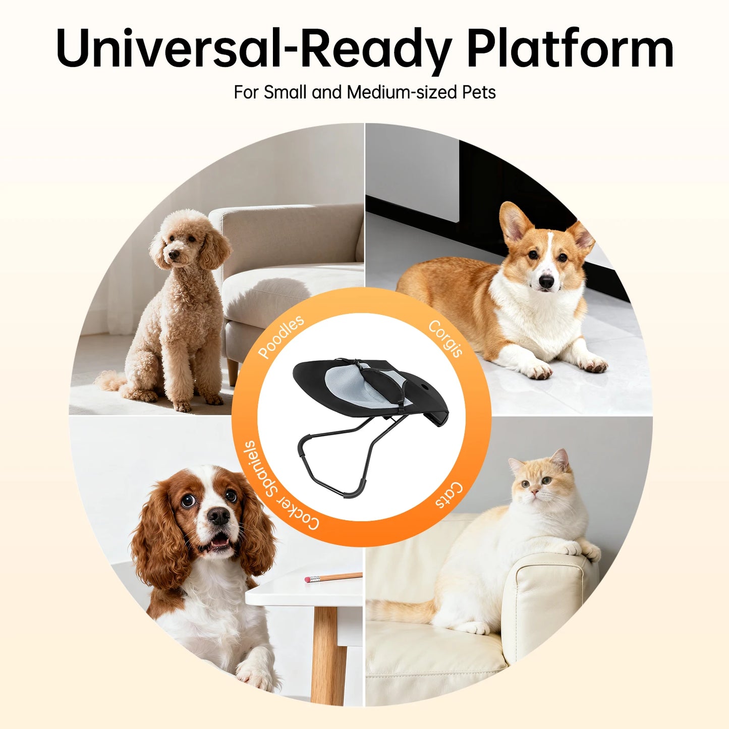 Pet Rocker Bed Foldable With Adjustable Height Stainless Steel Bracket