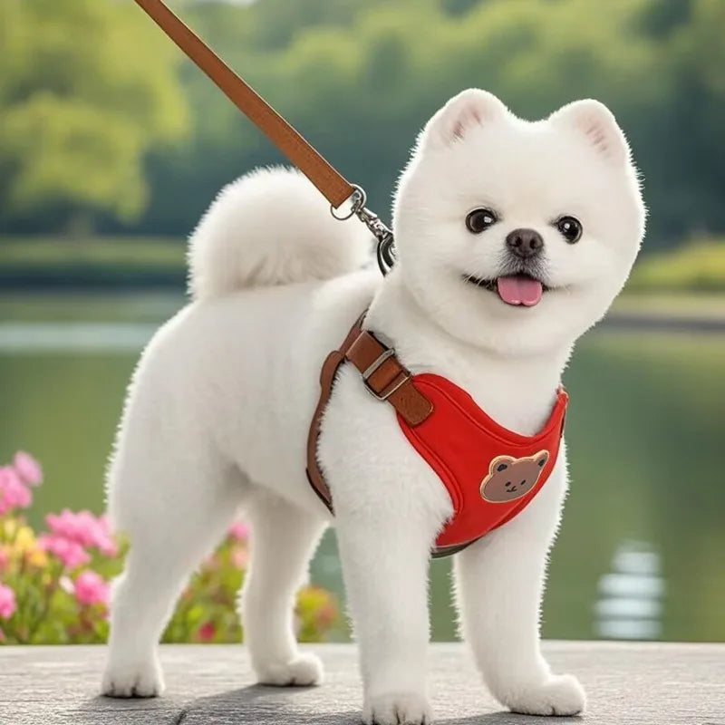 Breathable Dog Harness And Leash Set For Dogs And Cats