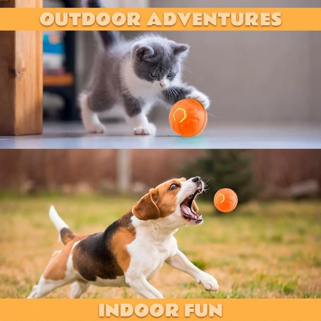 Pet Gravity Ball Toy for Dogs and Cats Plastic Bouncing Ball