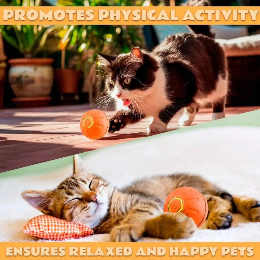 Pet Gravity Ball Toy for Dogs and Cats Plastic Bouncing Ball